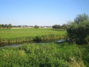 LE BON COUVREUR A Villeneuve d'Ascq