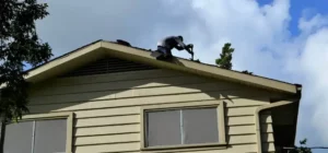 entretien-toiture-la Madeleine