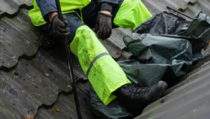 Les produits de nettoyage professionnels vs solutions naturelles.